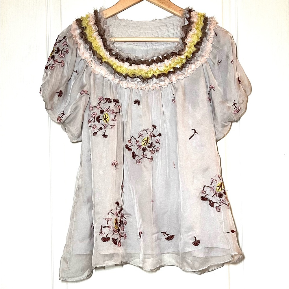 Vintage Sheer Embroidered Blouse Ruffle Collar Boho Tulle Top Fairycore Ethereal